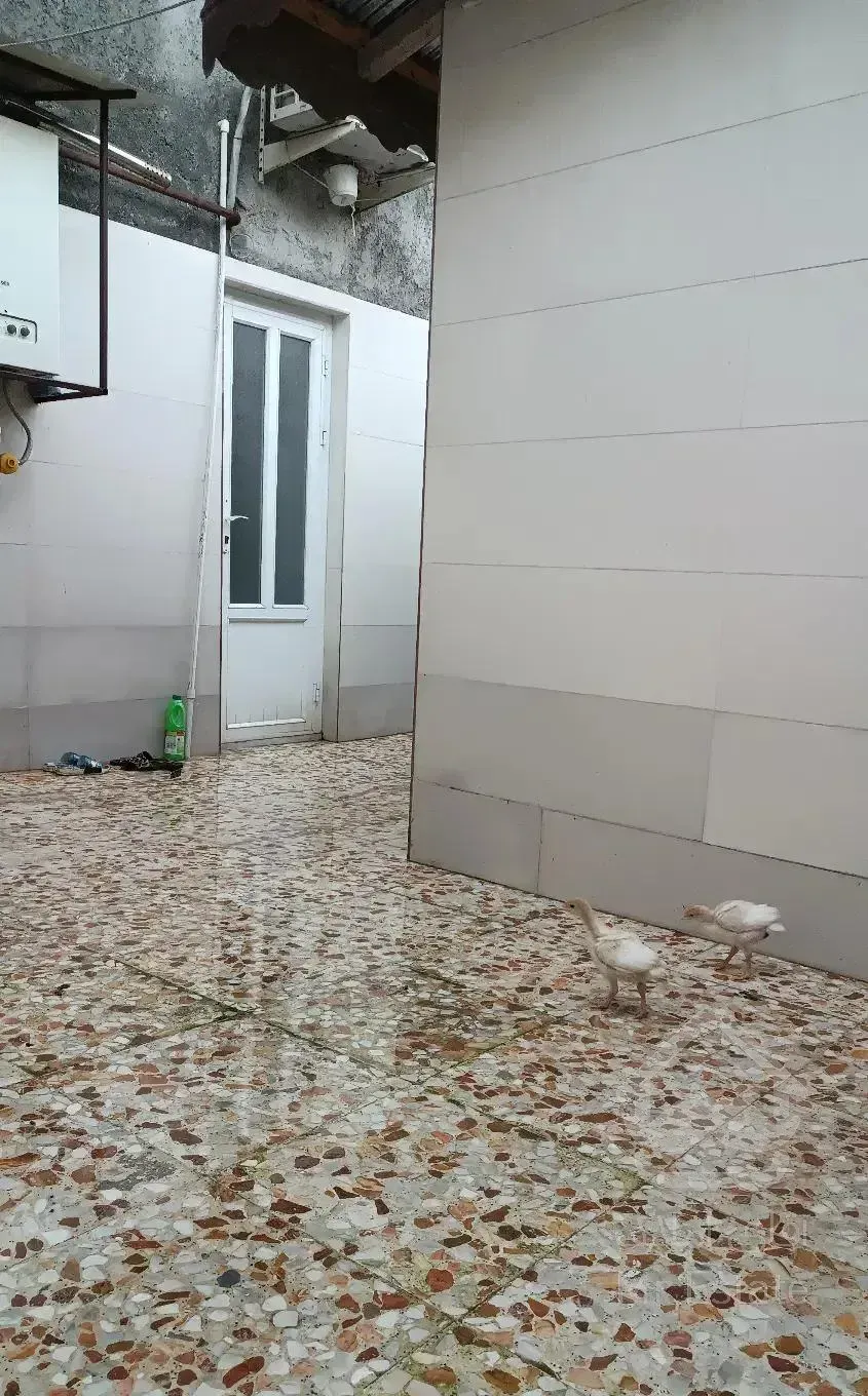 خانه در رزمندگان ۱۳