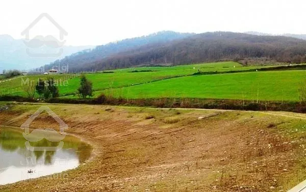 زمین 400 متری شموشک، خارج بافت، چسبیده به جنگل