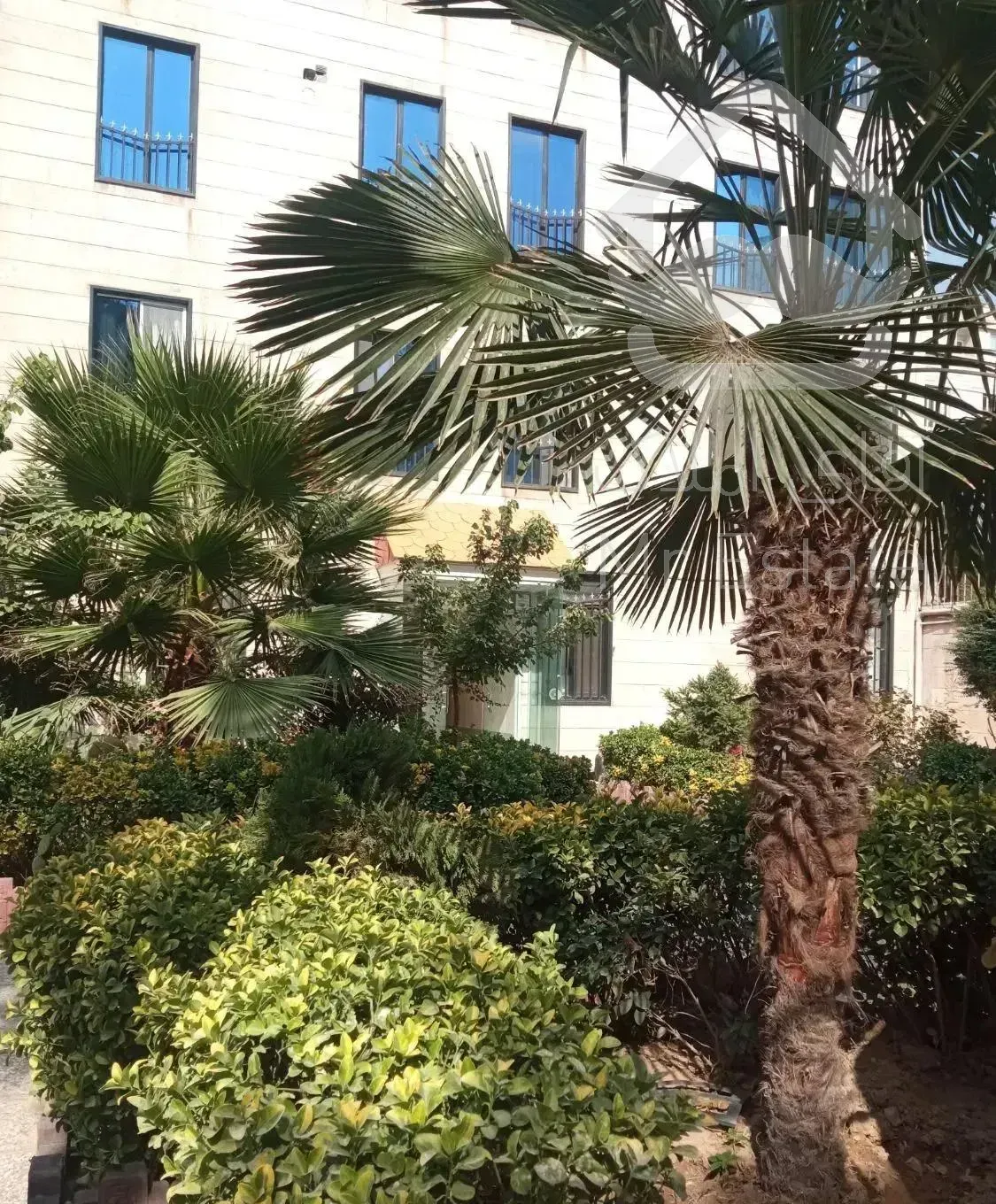 رهن واحد لوکس