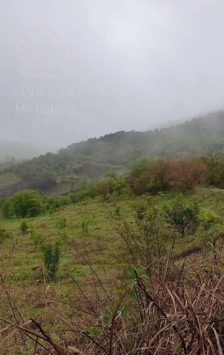 ویلا خانه باغ با ۱۷۵۰ متر زمین بافت بابلکنار