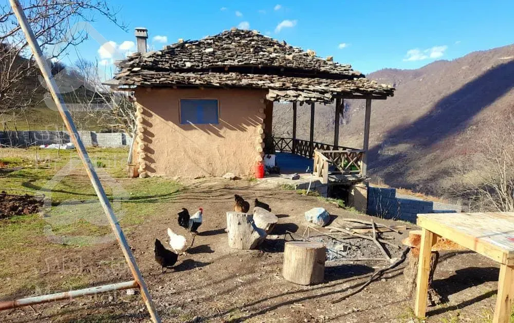 اجاره کلبه چوبی جنگلی دربست ویلا سنتی فیلبند-تیار