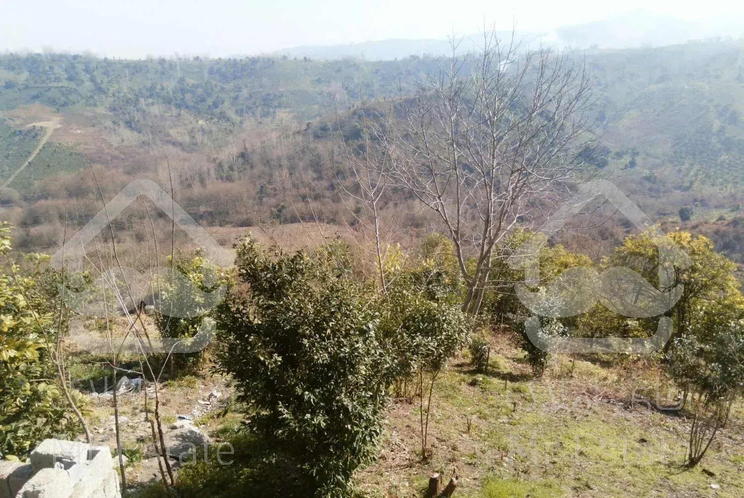 ویلاه شیک فول ویو ابدی  دو خواب روزرو عید اطاقور