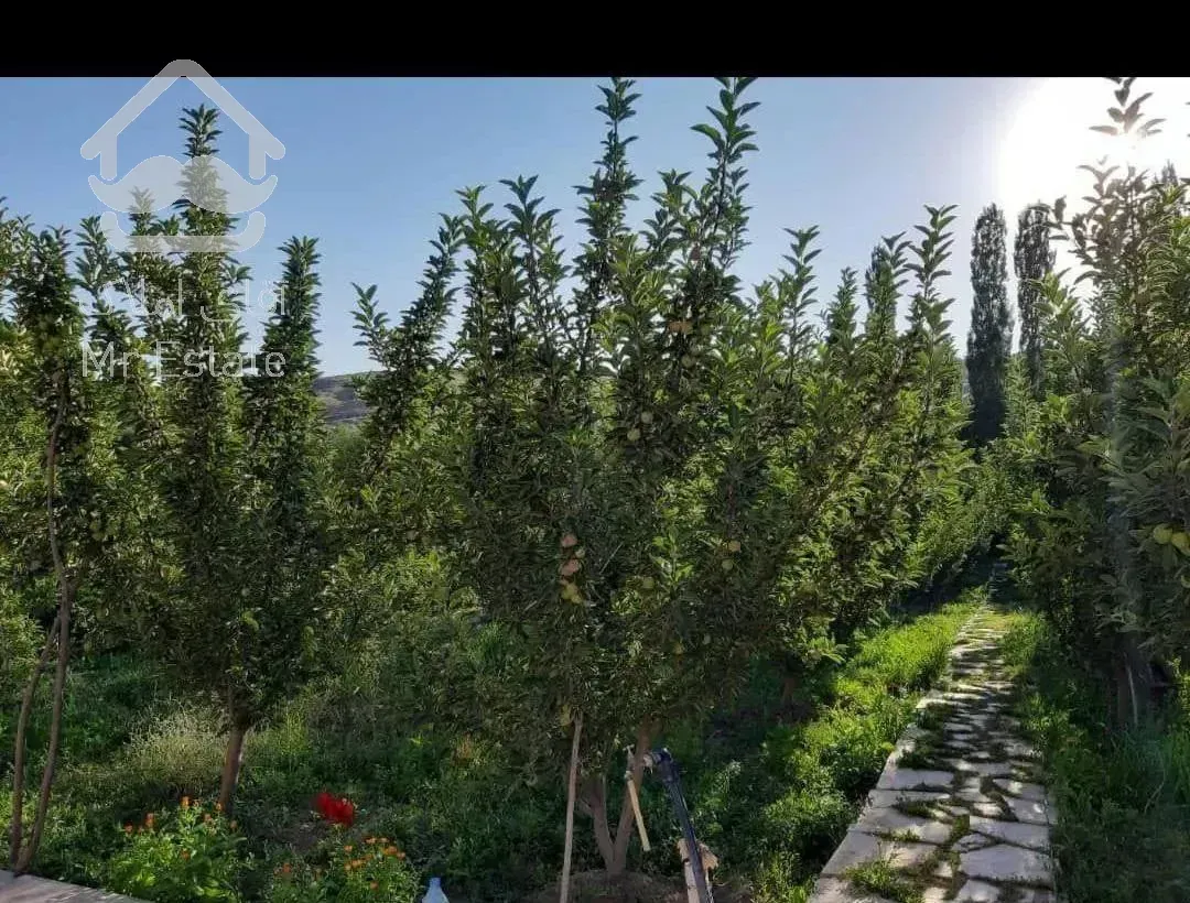 سوئیت باغ ویلا