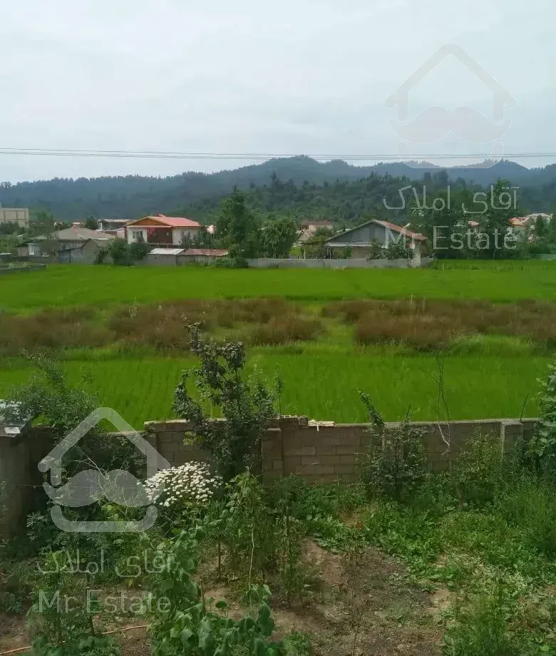 اجاره ویلا ویو جنگلی و مزرعه