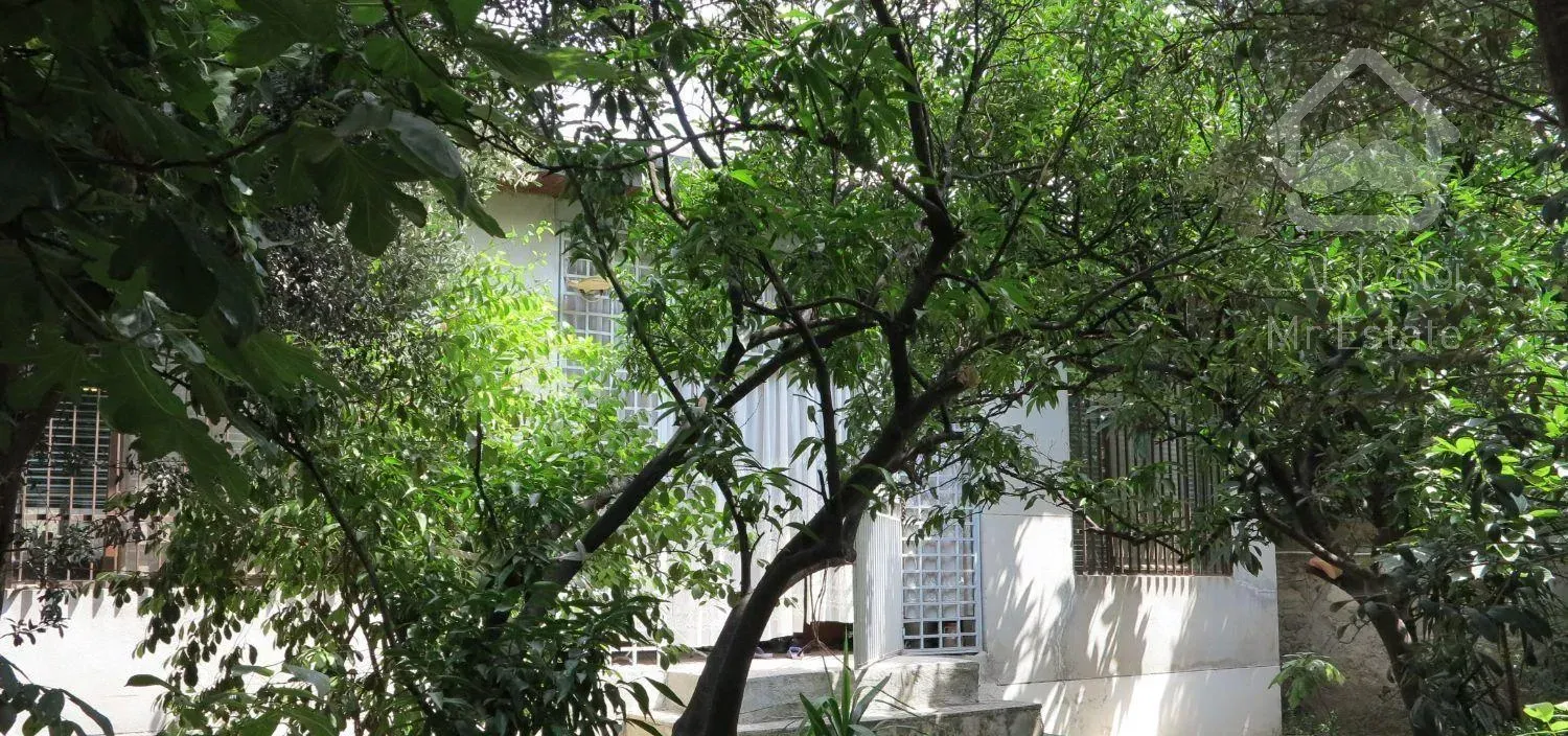 خانه ویلایی بیست متری امت