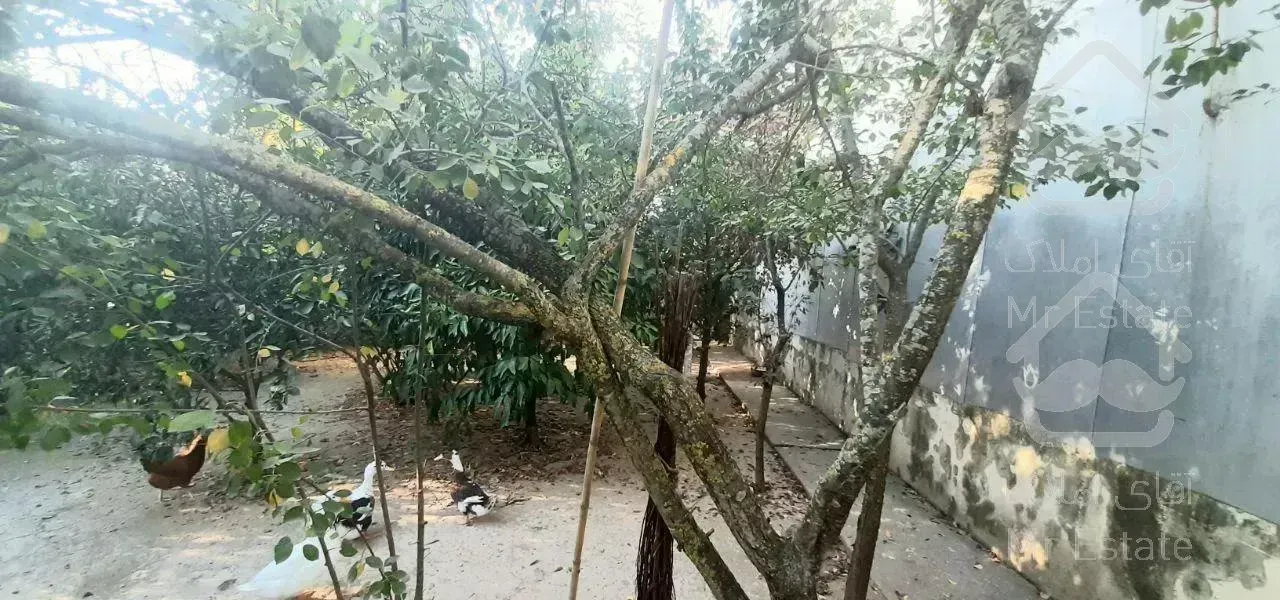 باغ‌ویلاهمکف‌ساحلی،۴۸۰متری،سرخرود