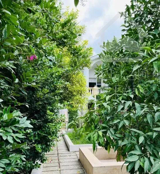 ویلا جنگلی مشجر