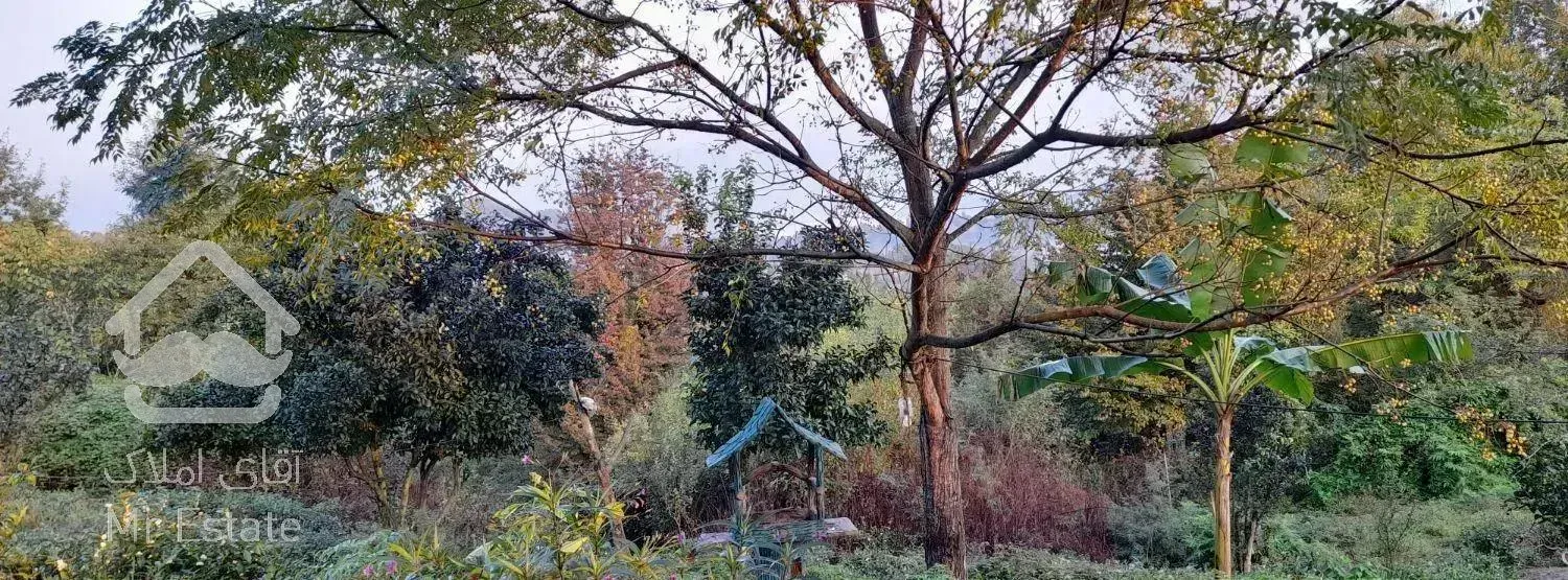 ویلای جنگلی با ویوی ابدی