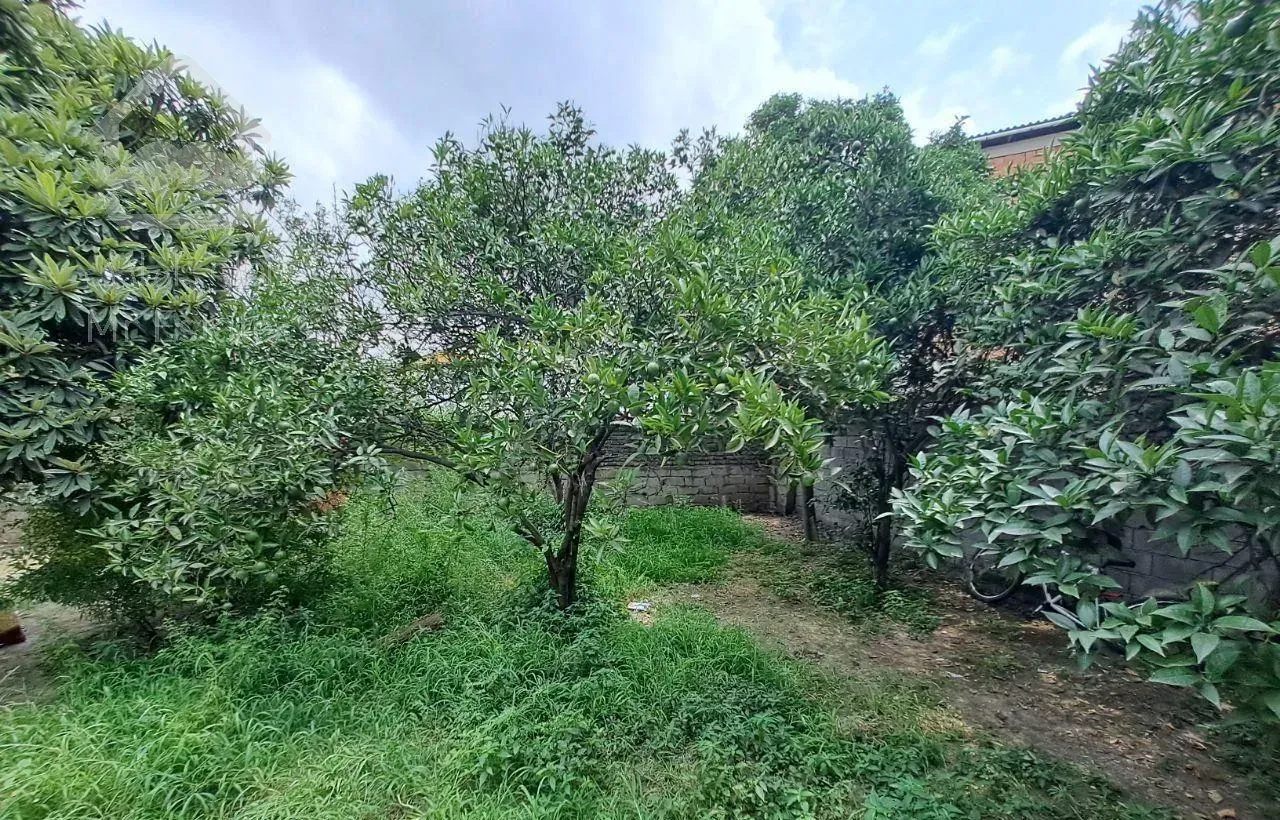 370مترخونه روستای باسندتک برگ/قابلبت ساخت طبقه دوم