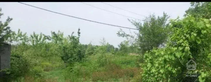 ویلای ۳۲۰۰ متری فروش