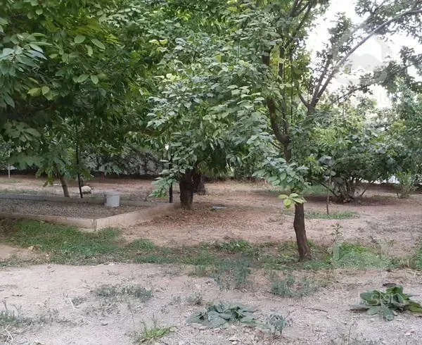 باغچه دارای ۸۰۰متر زمین ودرختان میوه در کوهسار