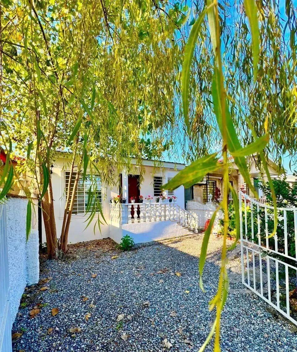 باغچه ویلا همکف پلاک3جنگل*340متر سند