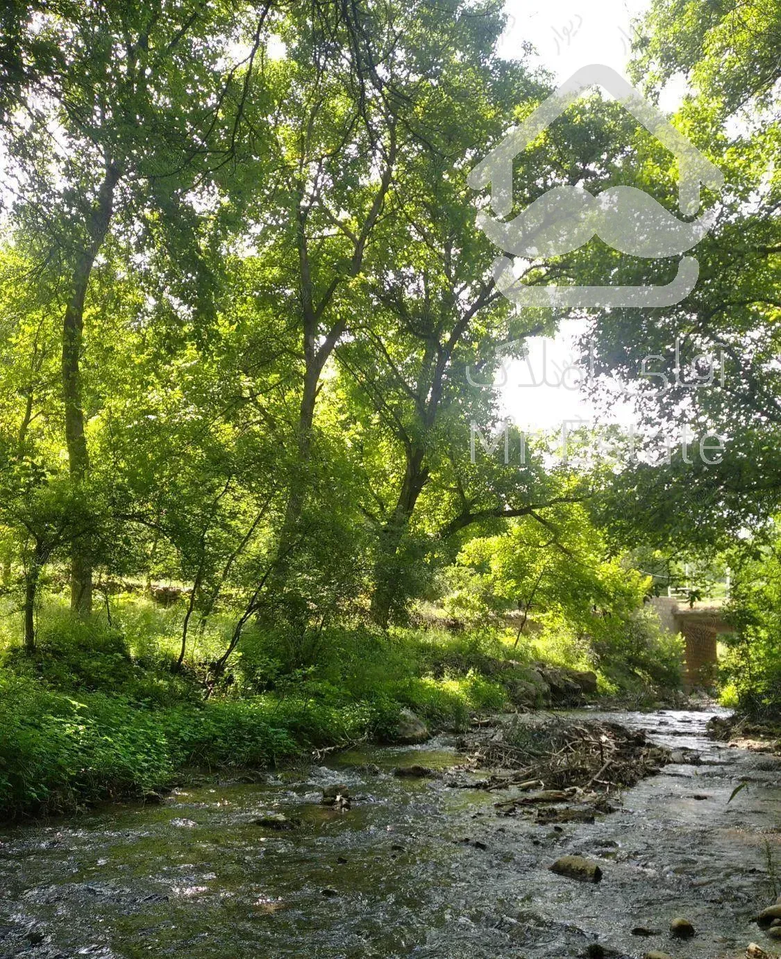 اجاره باغ ویلا باغ تمیز و شیک کنار رودخونه