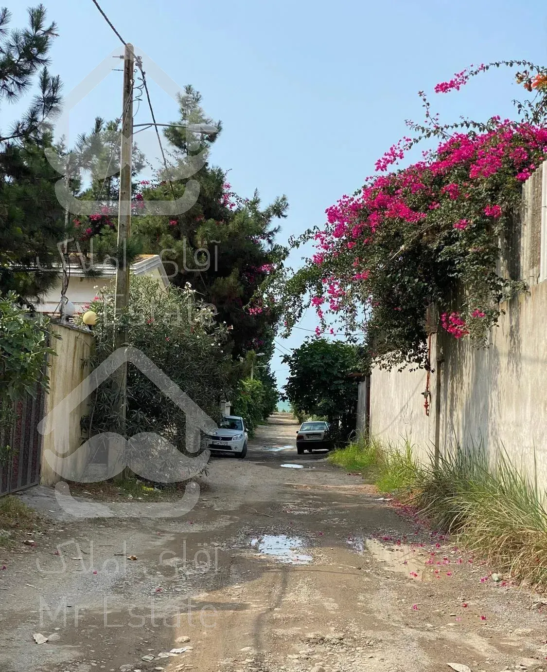 اجاره ویلا لب اب