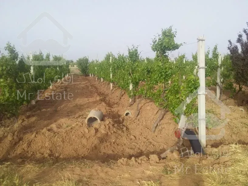 ملک تجاری مسکونی