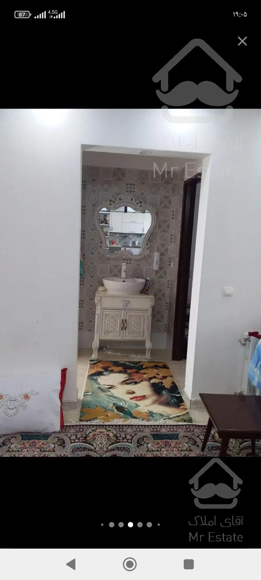 ملک تجاری مسکونی باغ انگور