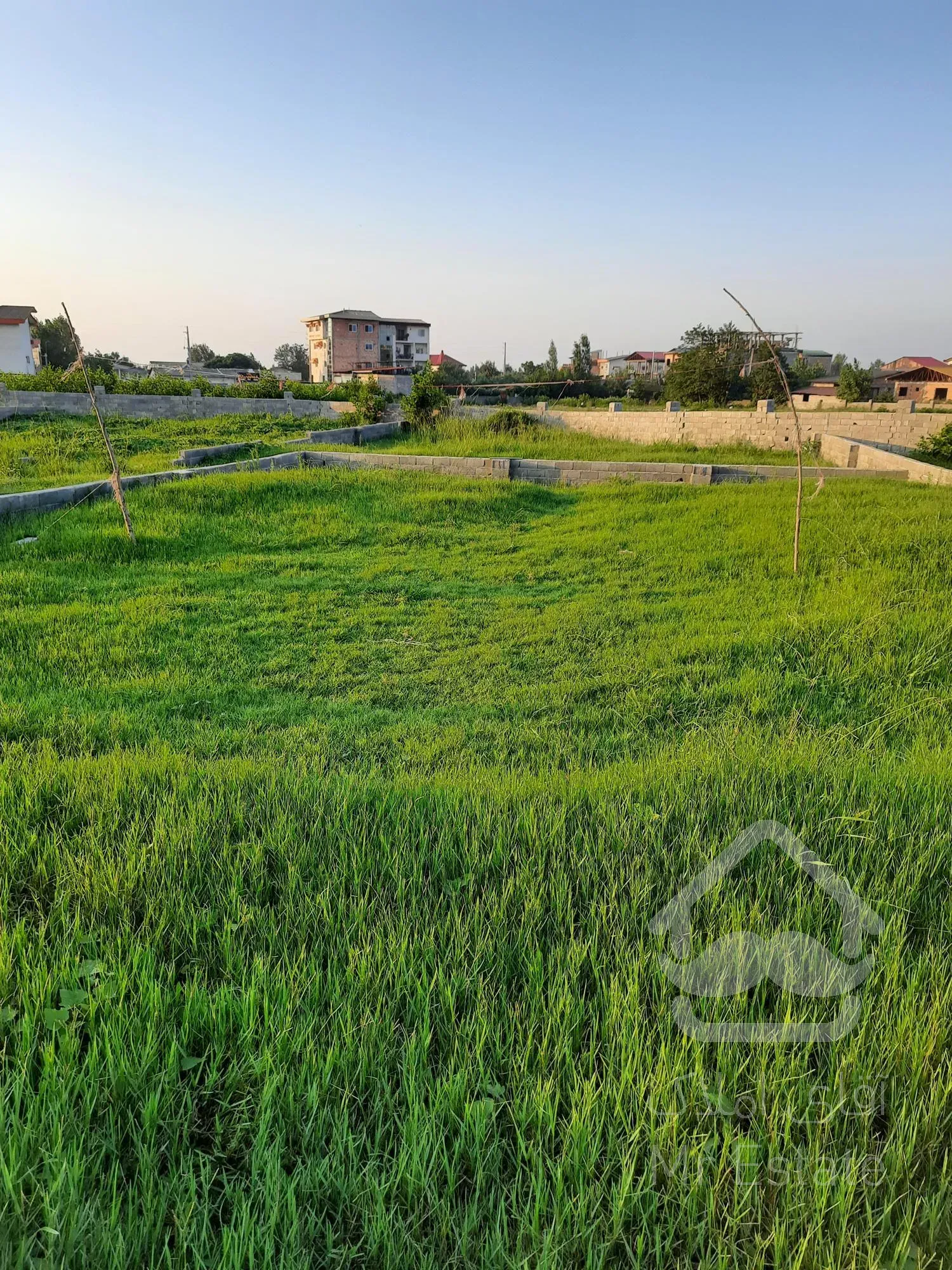 فروش یک قطعه زمین واقع در چالوس