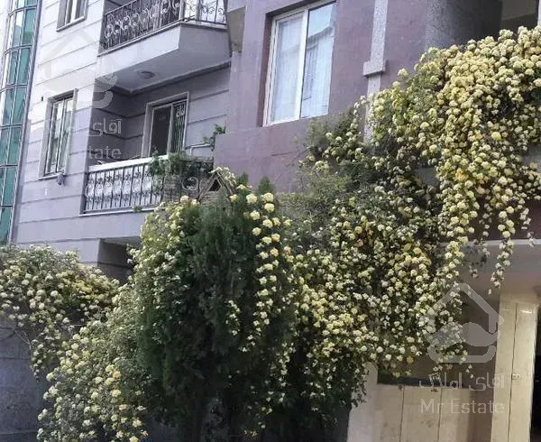 ۵۰ متر . تک خواب ‌. شهران شمالی . فول