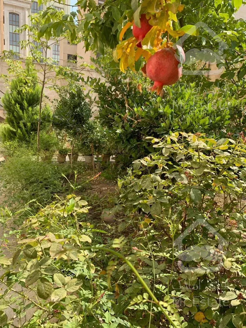 خرید آپارتمان 200 متری نیاوران شمال کاخ