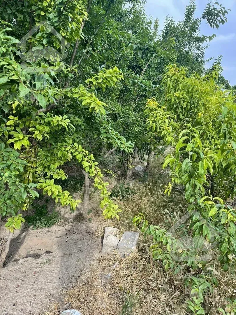 فروش زمین مسکونی در شهرک و ویو بسیار زیبا