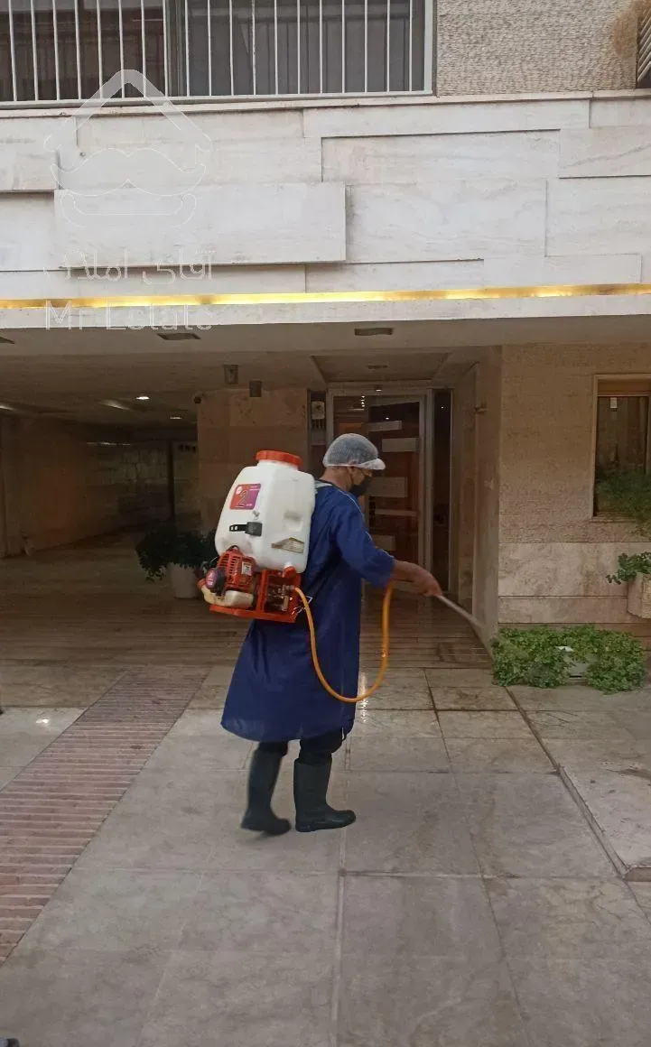 سمپاشی سم پاشی سوسک ریز آلمانی کابینتی ساس موریانه