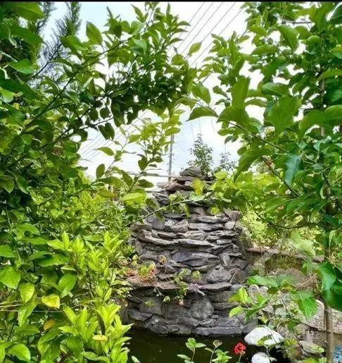 فروش ویلاباغ نقلی235متری عاشق ویوجنگلی میشی عالیه