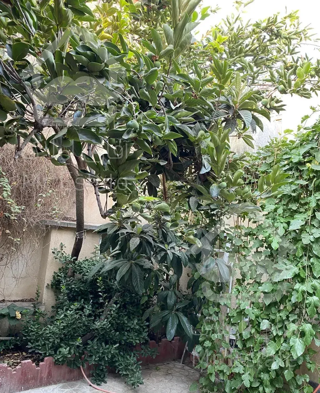 خانه ویلایی شریعتی ۹۷ متر