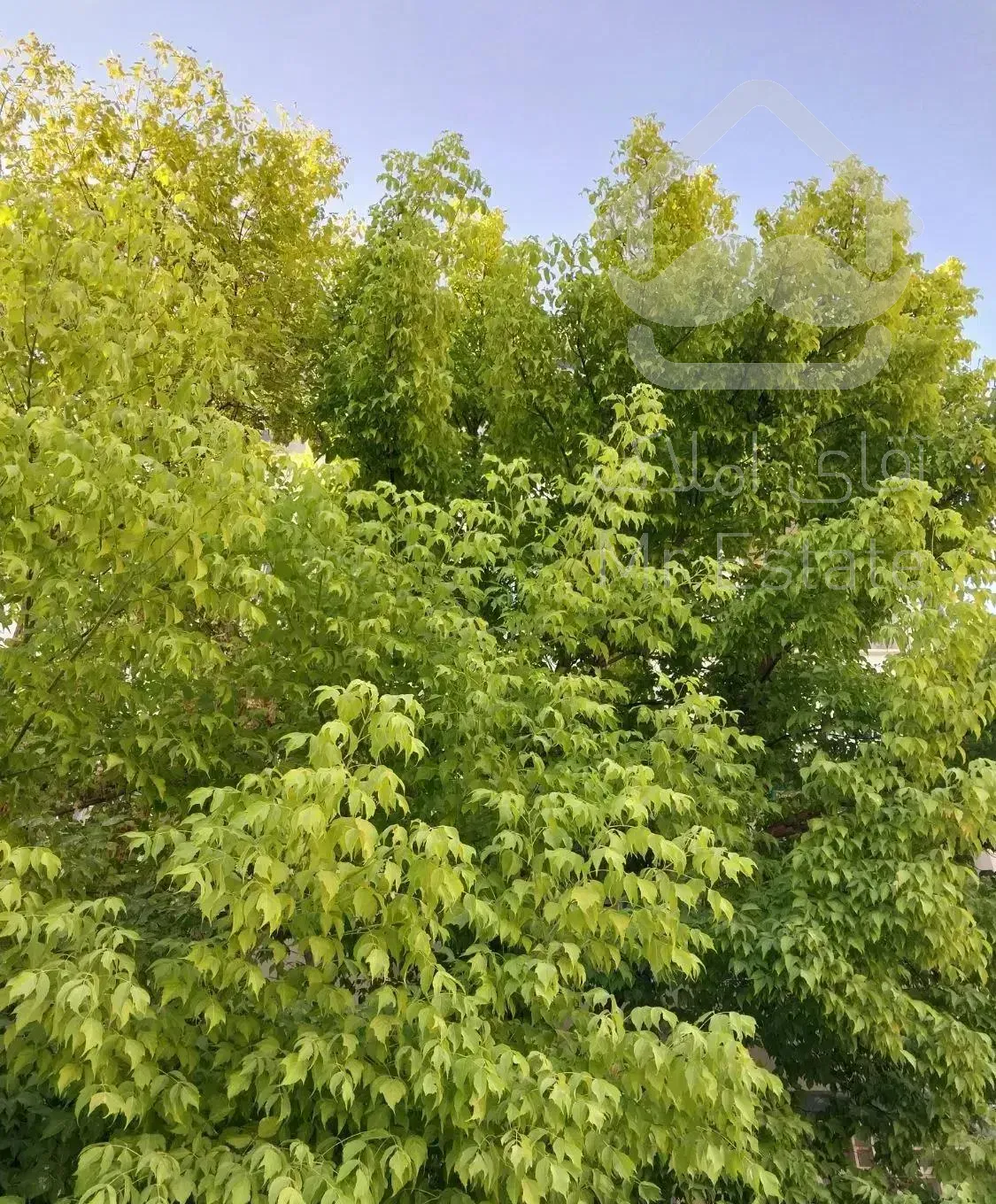 فروش آپارتمان شهرک امام حسین همکف