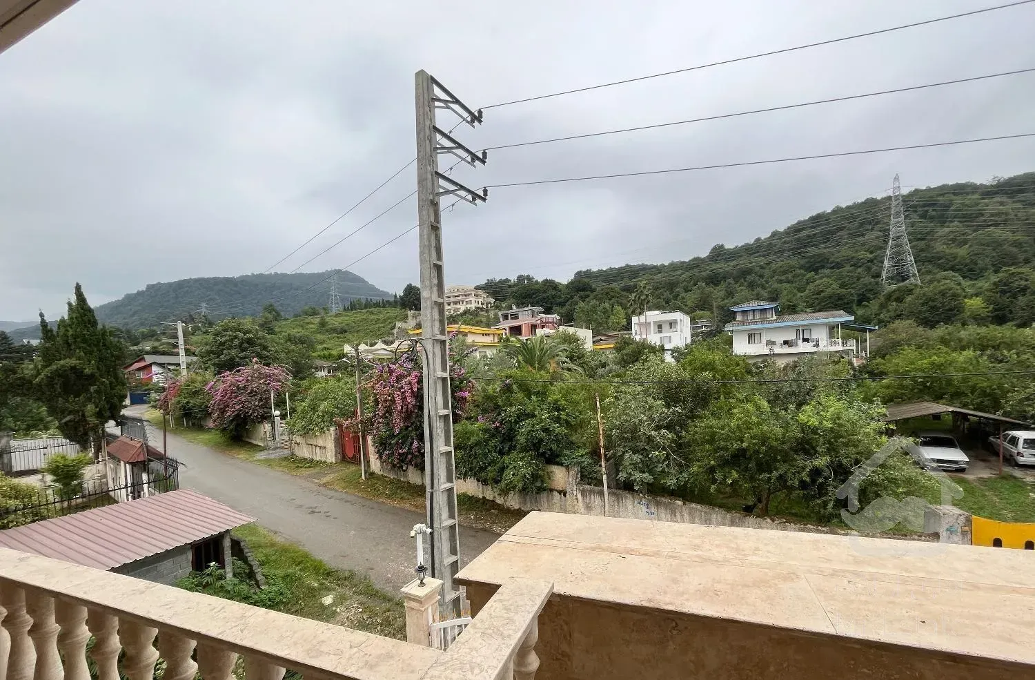 ویو کامل جنگل ۱۲۷ متری