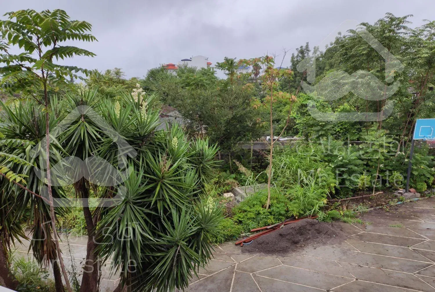 ویلا باغ ساحلی ۱۲۰۰ متر