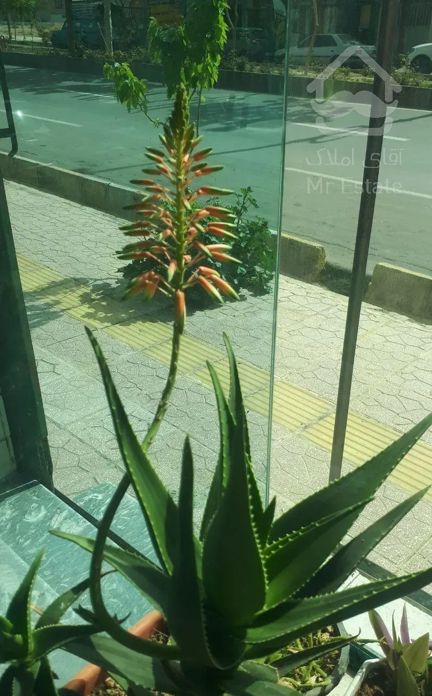 مهدیشهر میدان عقاب املاک شاهوار