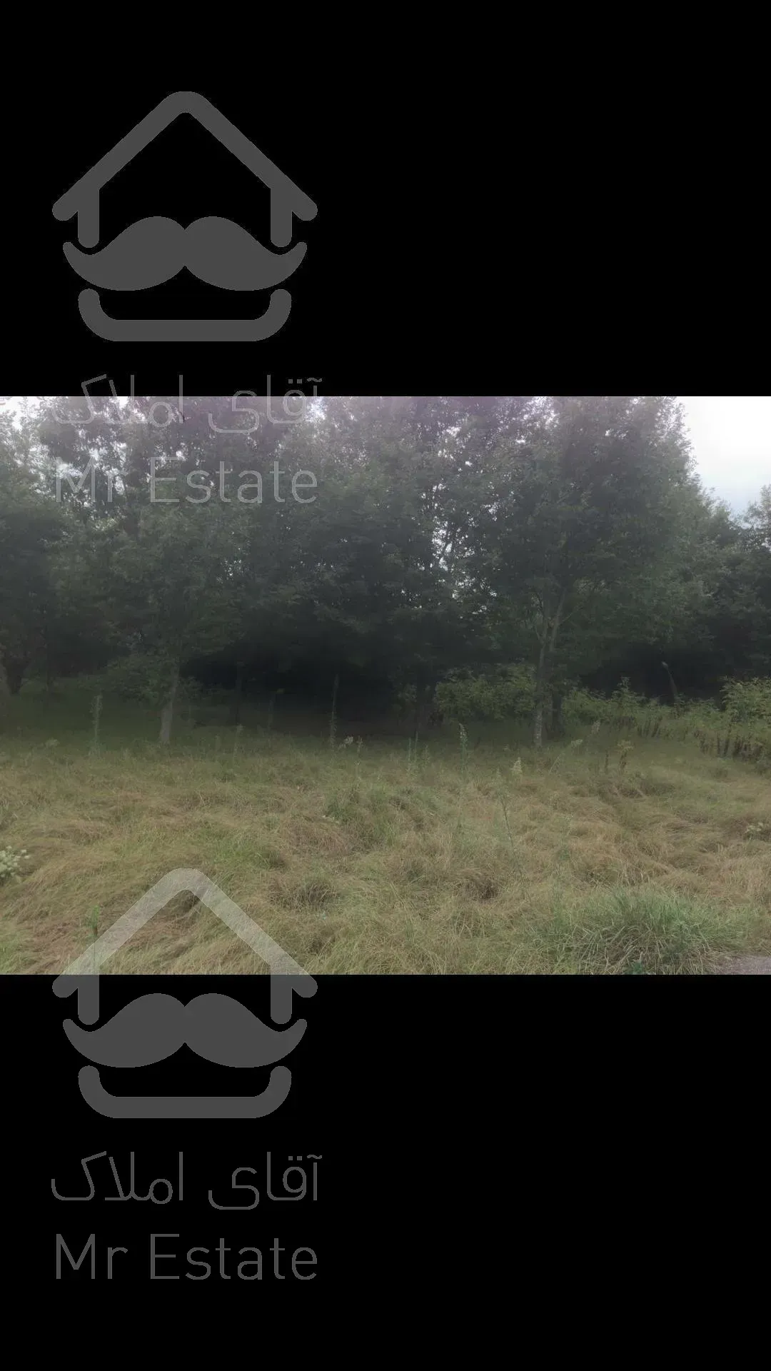 ۱۹هزار متر زمین با سند ۶دانگ ۲۸۰متر بحر