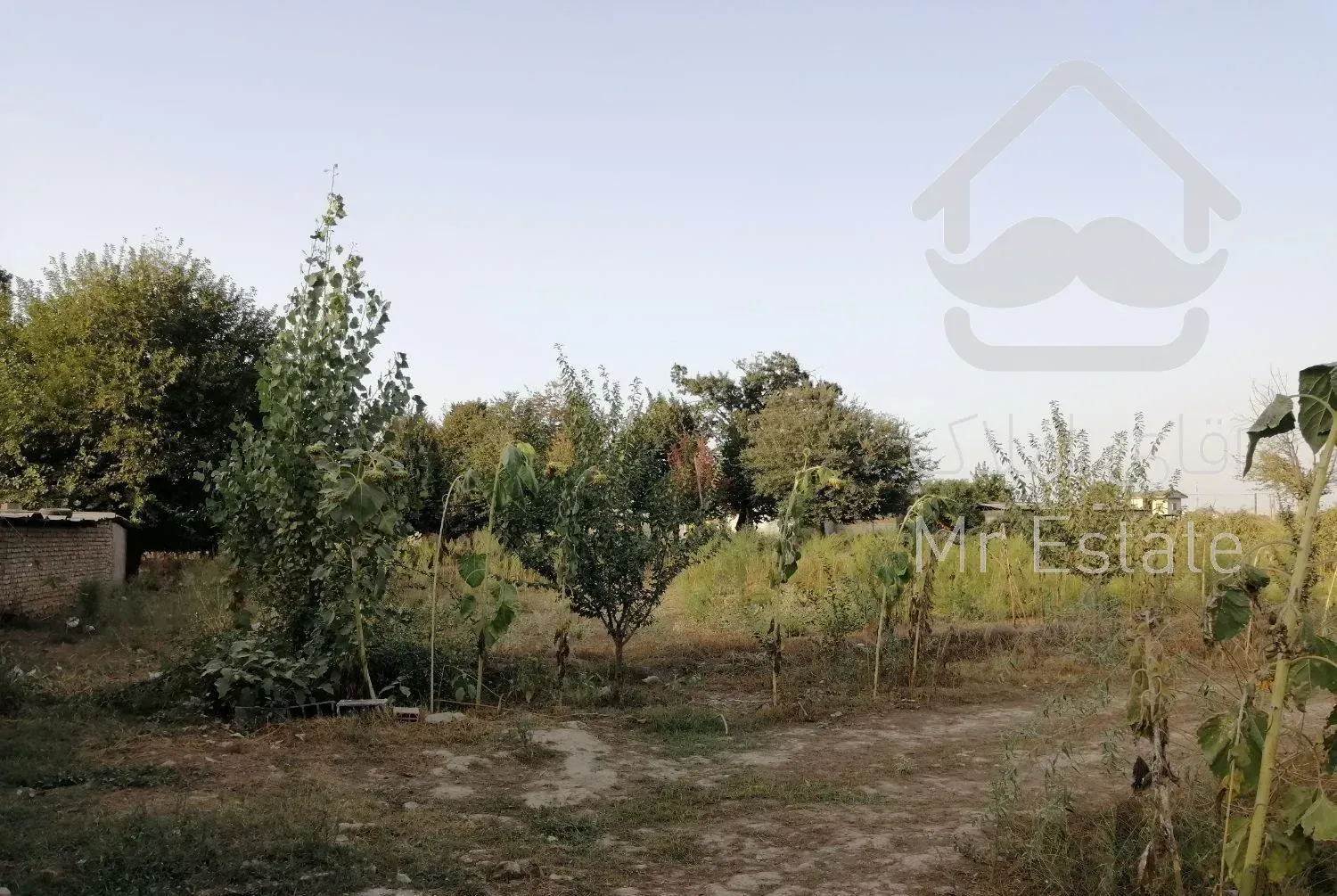 سویت خانه جنگلی ویلایی