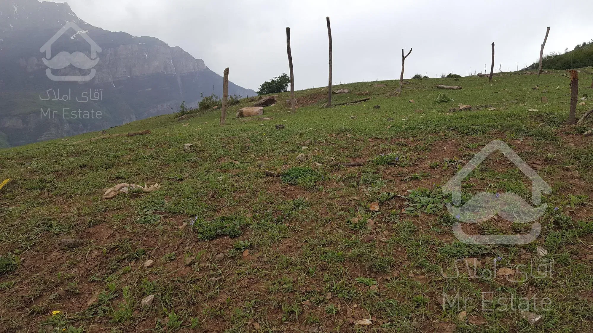 فروش زمین ییلاقی در روستای ولی آباد