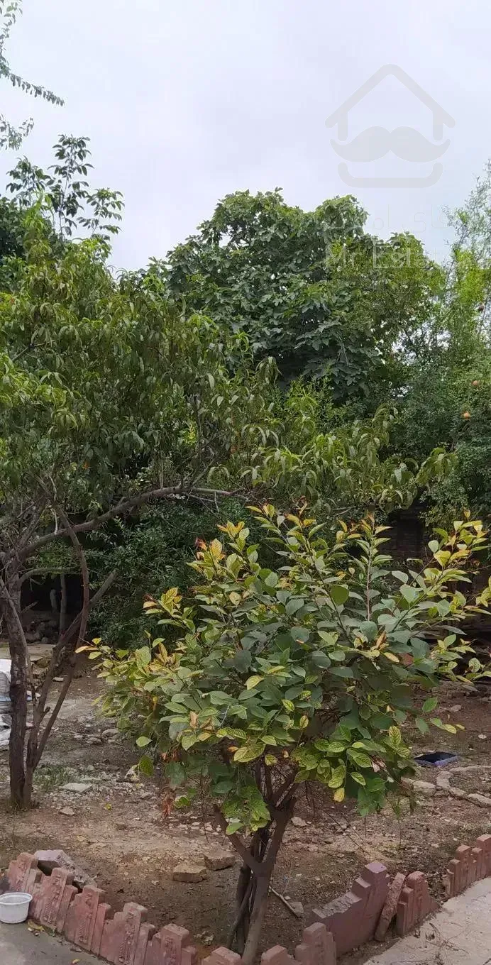 رهن کامل تکواحدی دربست ویلایی۴۰۰متری در سروینه باغ