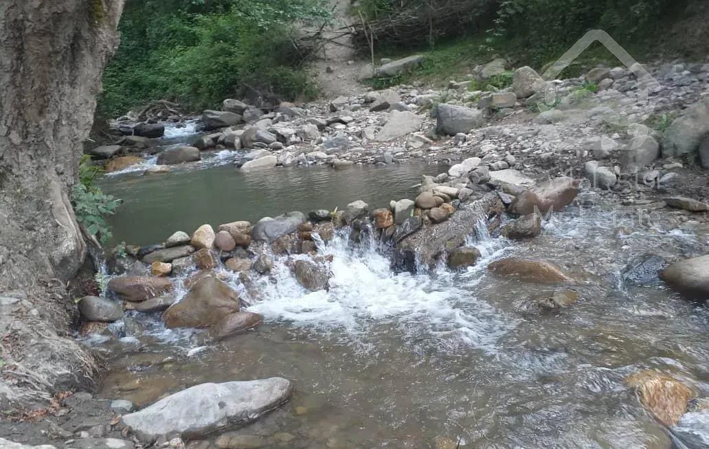 کلبه جنگلی چوبی سنتی منطقه فیلبند روستای تیار