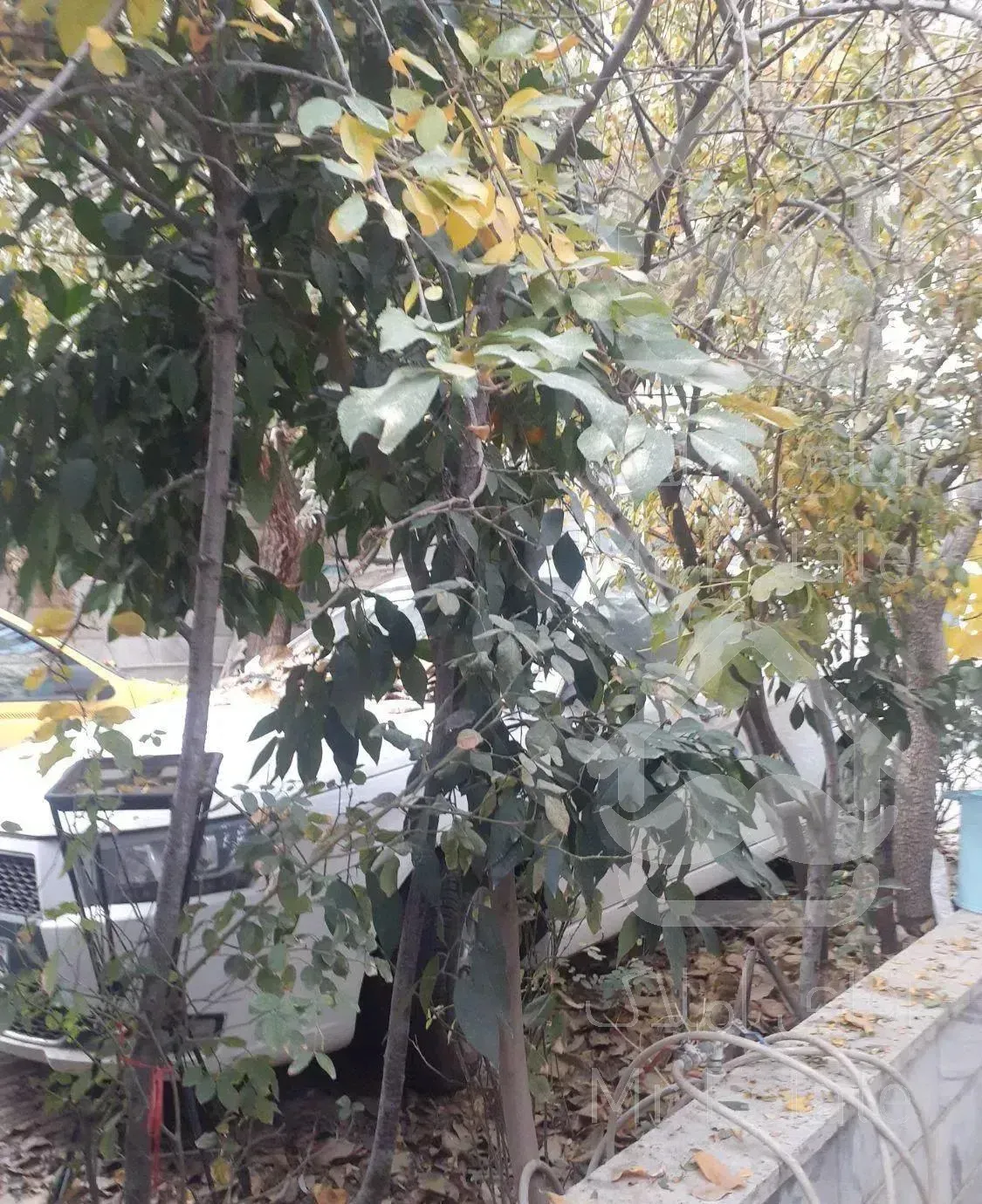 فروش ۲۰۰متر خانه ویلایی   شهرک راه اهن