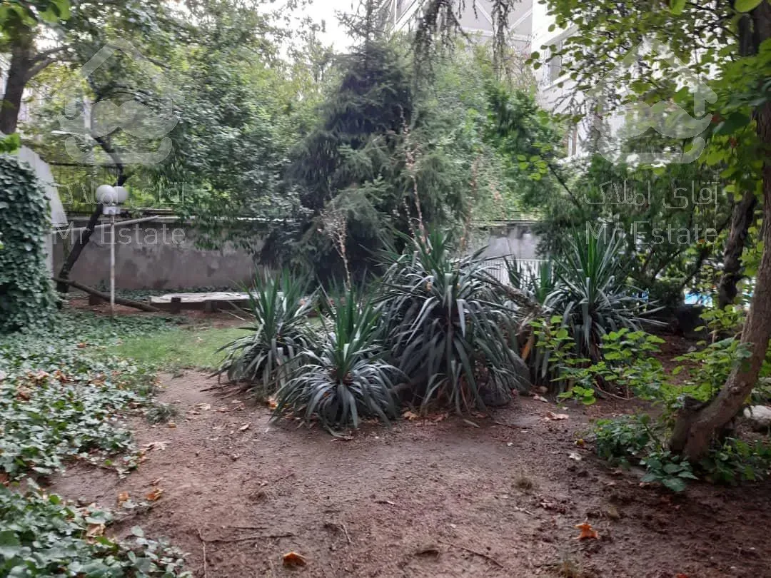 کلنگی بر ۲۲ جنوبی نیاوران