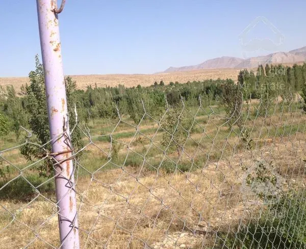 ۳۰۰۰ متر زمین در  منطقه فیروزکوه.