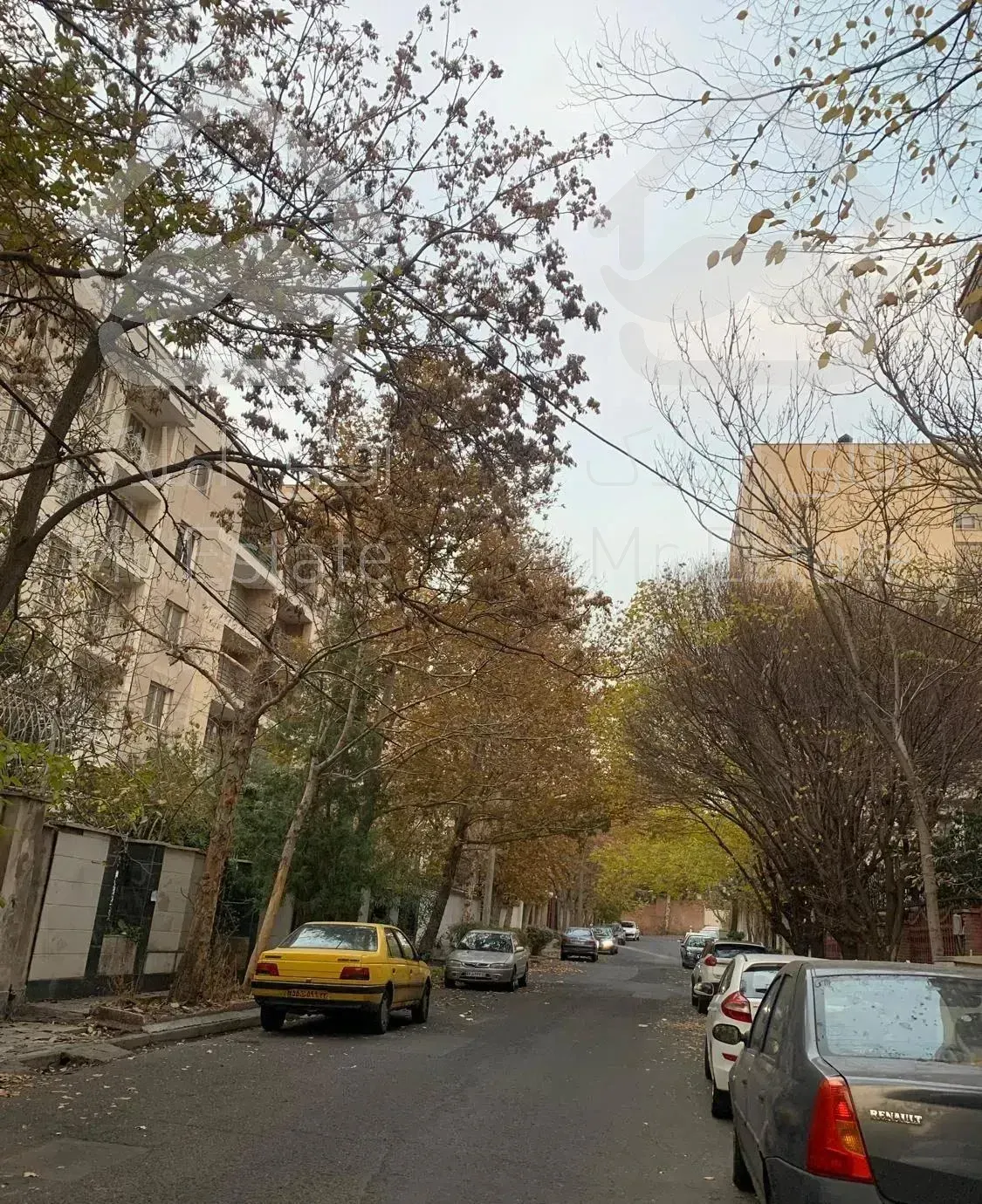 ۹۶ متر دو خواب (( در قلب شیان ))  لوکیشن تاپ