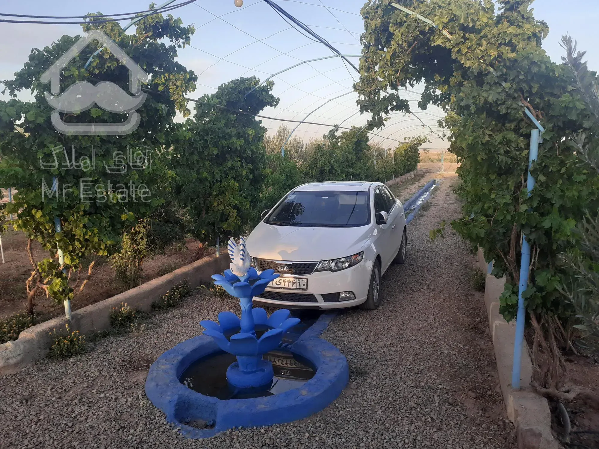 فروش باغ پسته و گلخانه