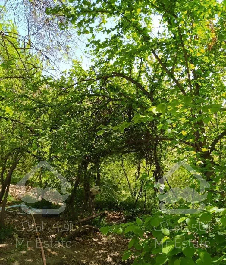 ویلا باغ خوش منظره