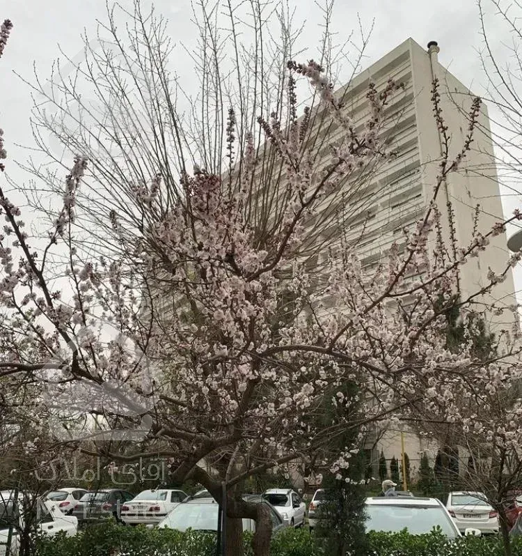 شهرک امید ۸۱ متر ۱ خواب بازسازی