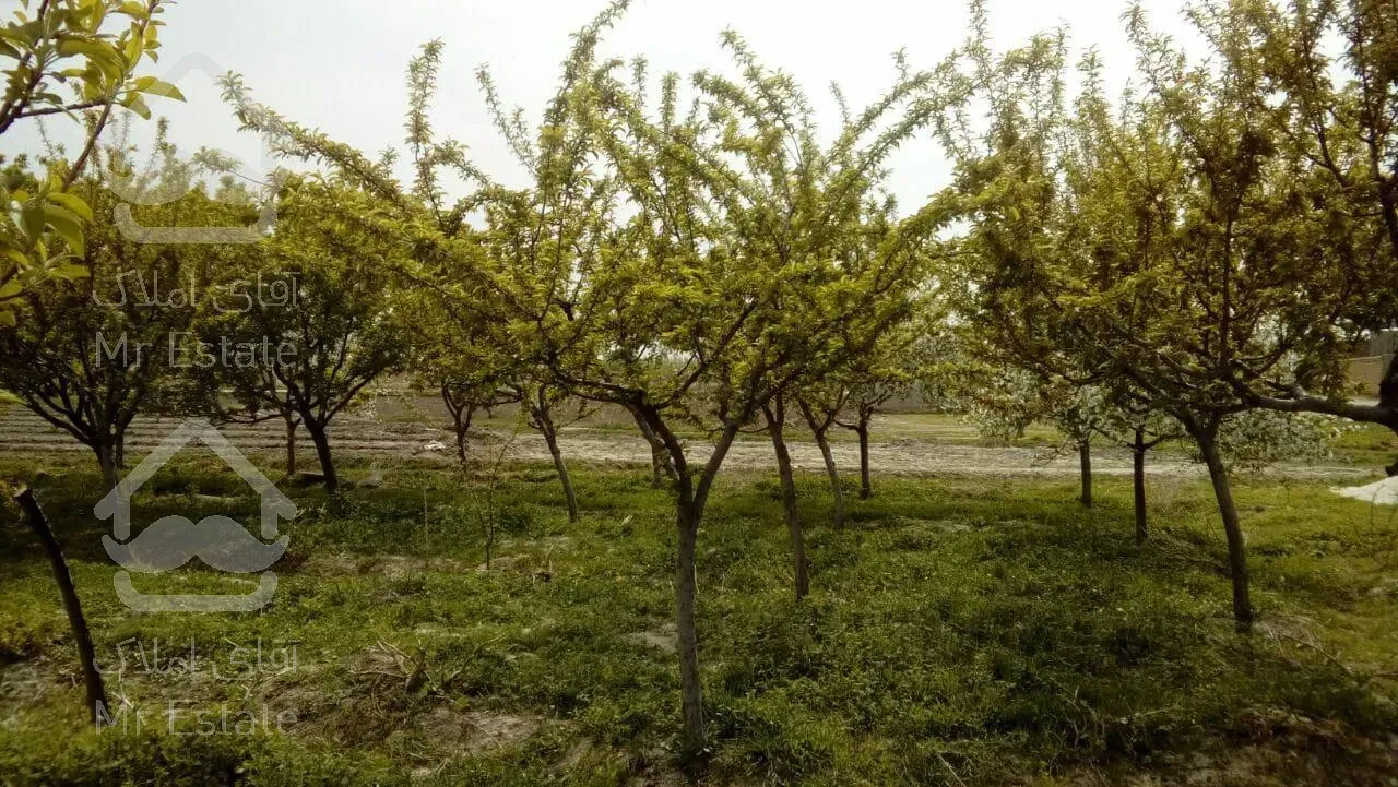 باغ میوه / زمین / باغ ویلا