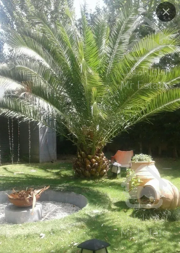 درختکاری. باغداری.گل و گیاه