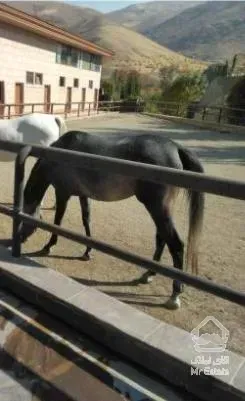 فروش زمین 10000 متر در کردان