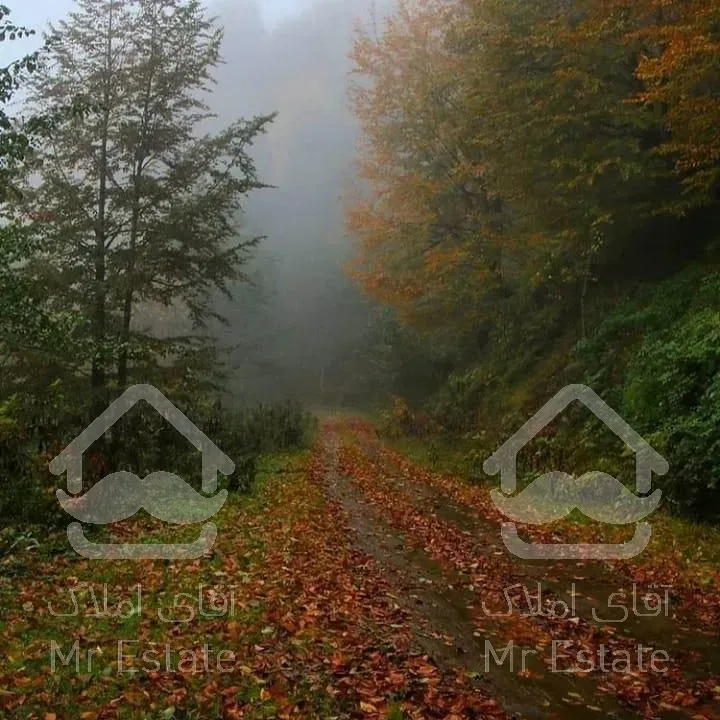 باغ با درخت میوه،با موقعیت آب و‌هوایی بسیار عالی