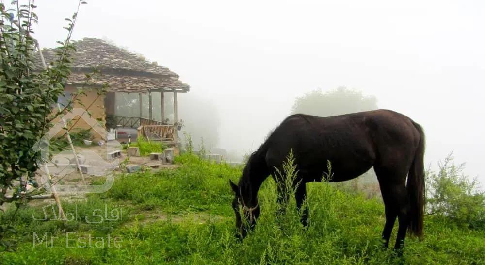 کلبه جنگلی چوبی سنتی منطقه فیلبند روستای تیار