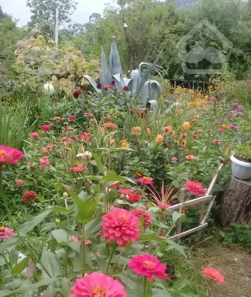 اجاره خونه باغ گلها در اسالم