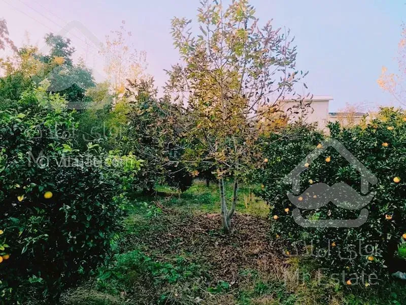 خرید باغ مرکبات ۲۴۰۰۰ متری در ساری